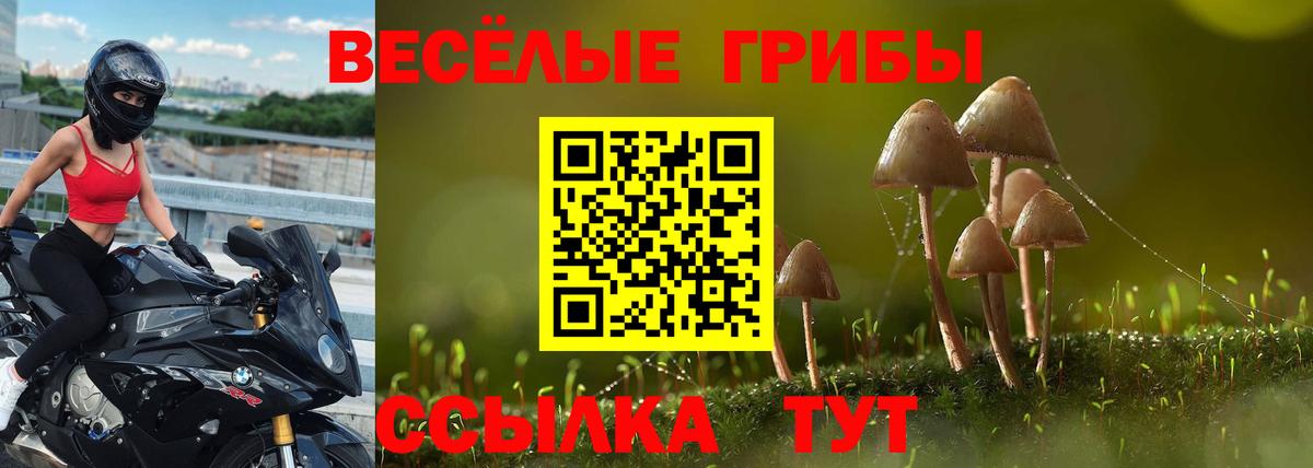 Галлюциногенные грибы мицелий  Вход с VPN  Пушкино 